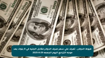 هبوط الدولار.. تعرف على سعر صرف الدولار مقابل الجنيه في 8 بنوك بعد موجة التراجع اليوم الجمعة 29-8-2025